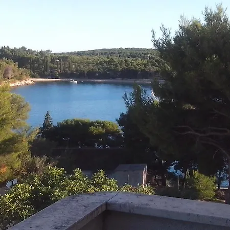 Apartment Apartament A6 - Ana Milna (Brac)